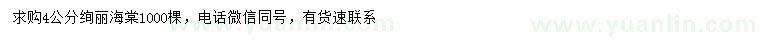 求購4公分絢麗海棠
