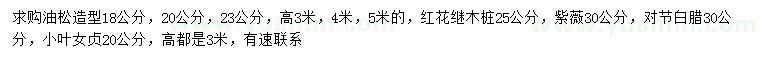 求購造型油松、紅花繼木、紫薇等