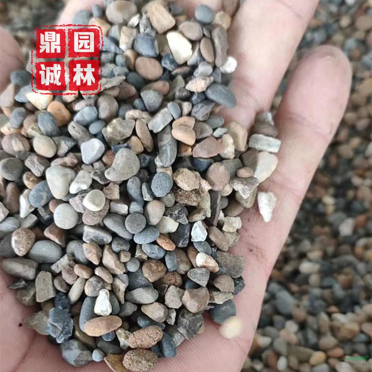 大塊鵝卵石海卵石濾石綠化地?zé)岬[石風(fēng)景石魚池墊底