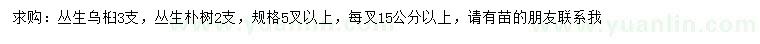 求購(gòu)叢生烏桕、叢生樸樹