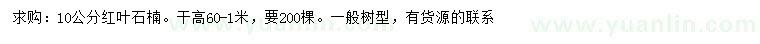 求購10公分紅葉石楠