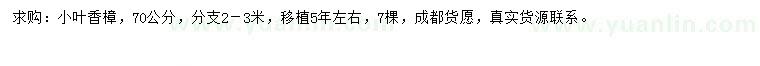 求購70公分小葉香樟