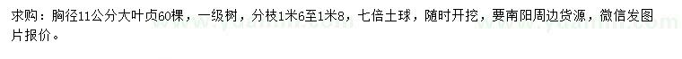 求購(gòu)胸徑11公分大葉貞