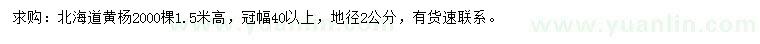 求購高1.5米北海道黃楊