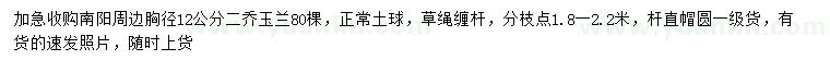 求購胸徑12公分二喬玉蘭