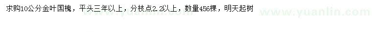 求購10公分金葉國(guó)槐