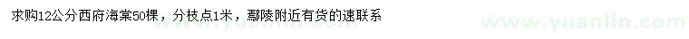求購12公分西府海棠