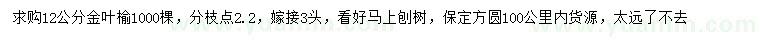求購12公分金葉榆