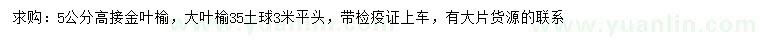 求購(gòu)5公分金葉榆
