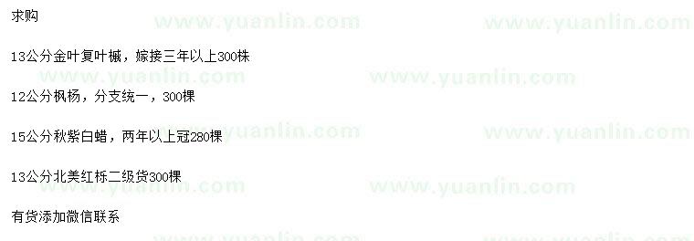 求購金葉復(fù)葉槭、楓楊、秋紫白蠟等