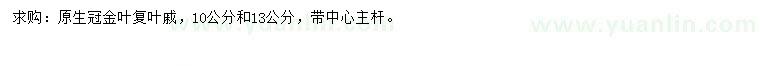 求購10、13公分金葉復(fù)葉槭