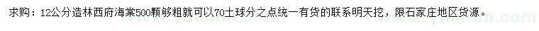 求購(gòu)12公分西府海棠