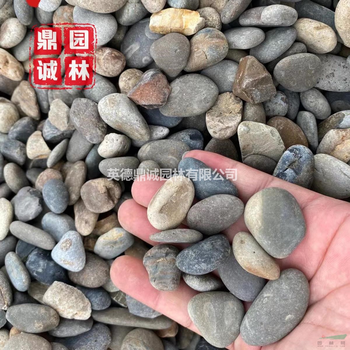 大塊鵝卵石海卵石濾料綠化地?zé)岬[石風(fēng)景石風(fēng)力發(fā)電