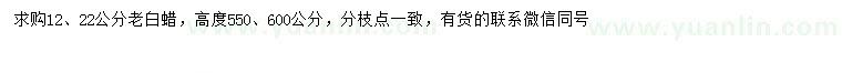 求購12、22公分老白蠟