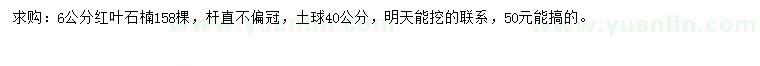 求購6公分紅葉石楠