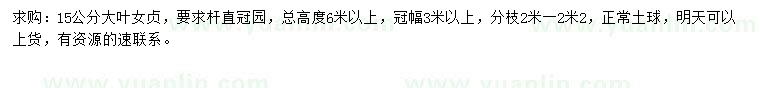 求購15公分大葉女貞