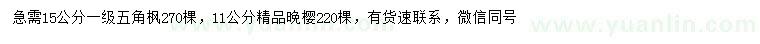 求購(gòu)15公分五角楓、11公分晚櫻