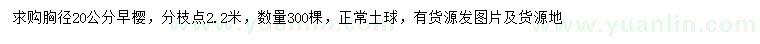 求購胸徑20公分早櫻