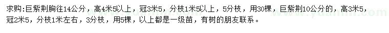 求購(gòu)胸徑10、14公分巨紫荊