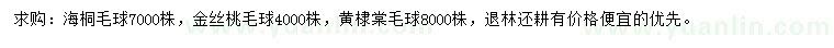 求購海桐球、金絲桃球、黃棣棠球