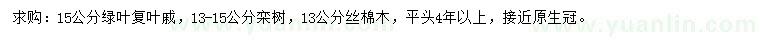 求購綠葉復(fù)葉槭、欒樹、絲棉木