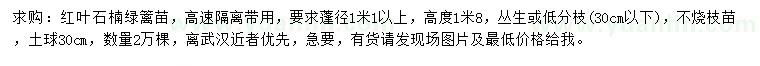求購高1.8米紅葉石楠