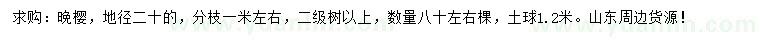 求購地徑20公分晚櫻