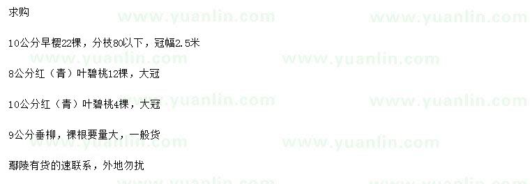 求購早櫻、紅葉碧桃、青葉碧桃等
