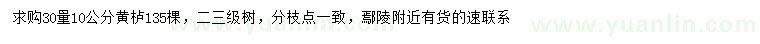 求購30量10公分黃櫨