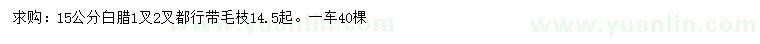 求購15公分白臘