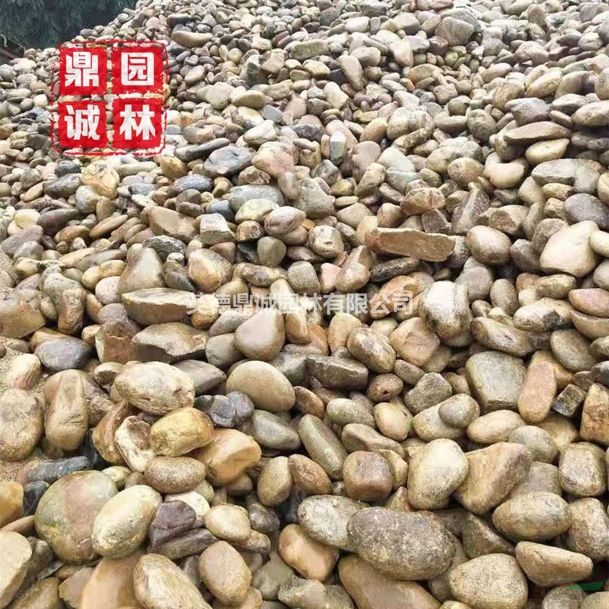 大塊鵝卵石原石墊層綠化地?zé)岬[石觀賞石凈水材料