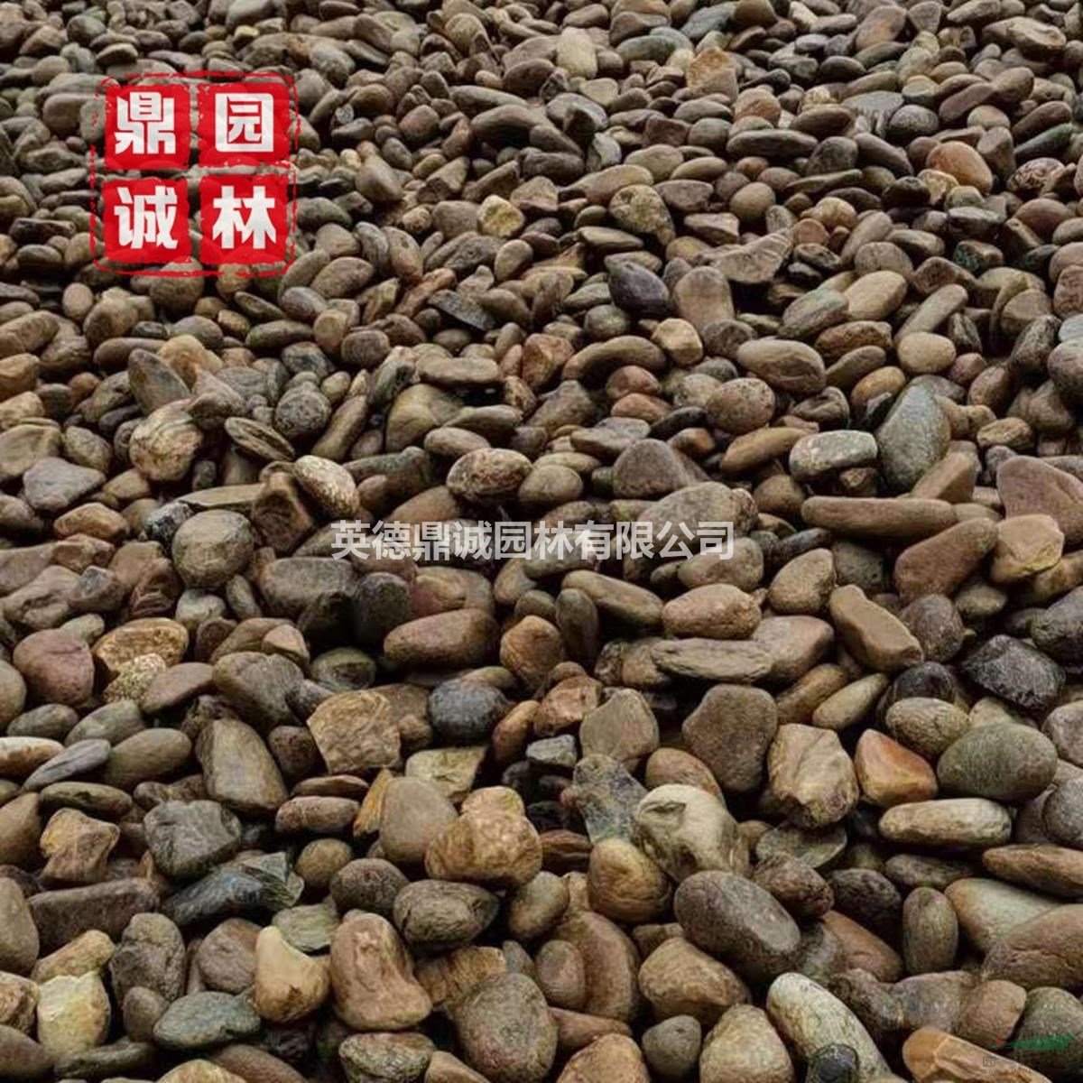 大塊鵝卵石原石墊層綠化地?zé)岬[石觀賞石凈水材料