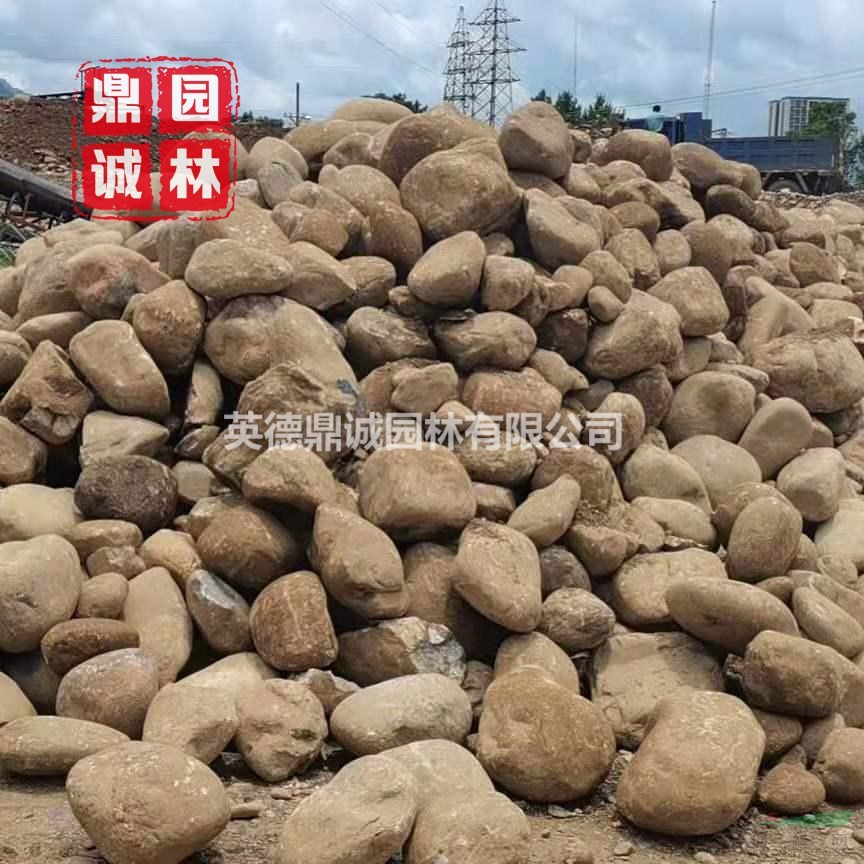 大塊鵝卵石原石切片綠化地?zé)岬[石觀賞石貯油池