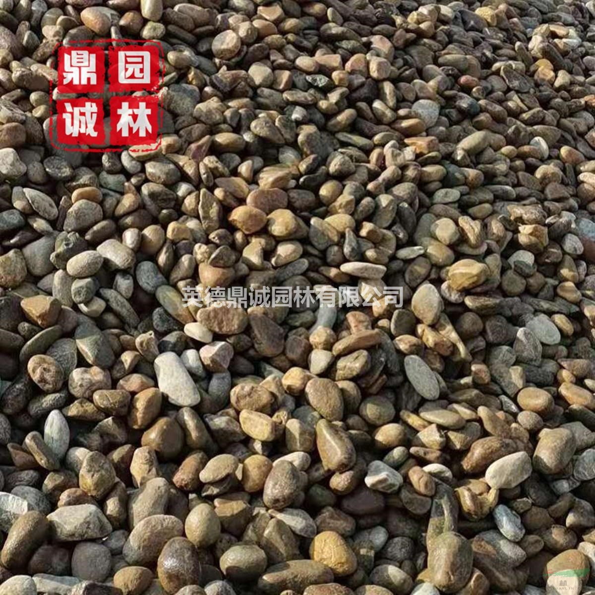 大塊鵝卵石原石切片綠化地?zé)岬[石觀賞石貯油池