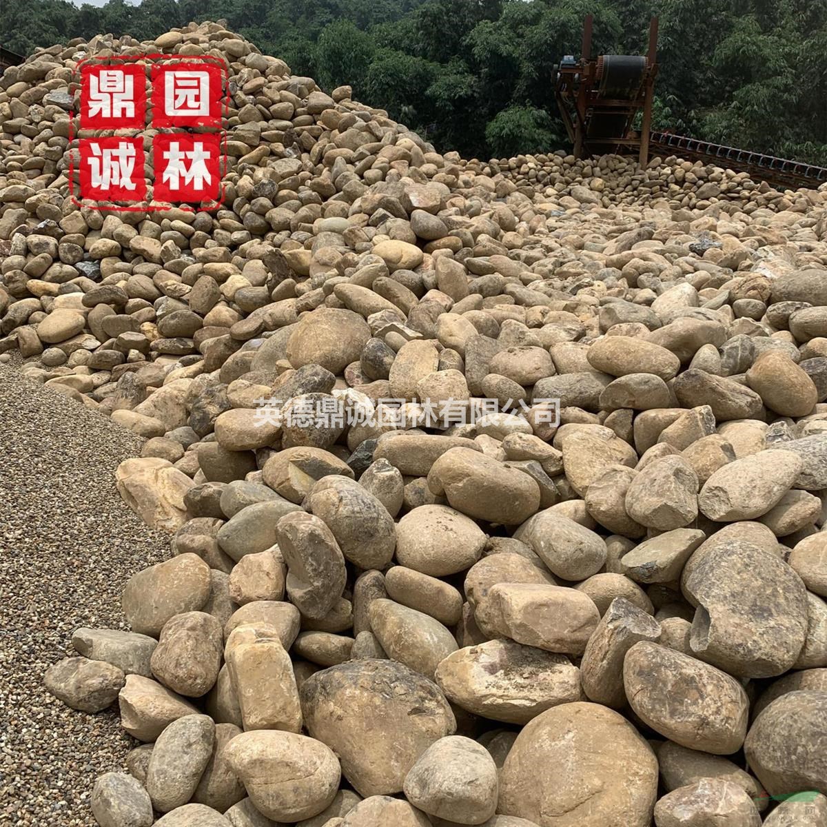 大塊鵝卵石小規(guī)格濾石綠化地?zé)岬[石水沖石魚池墊底