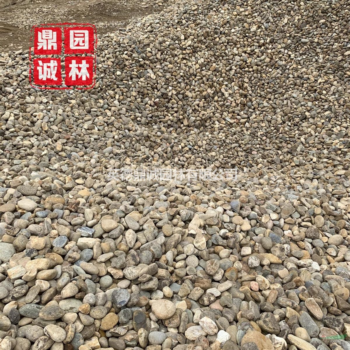 大塊鵝卵石小規(guī)格鋪面綠化地?zé)岬[石水沖石過(guò)濾