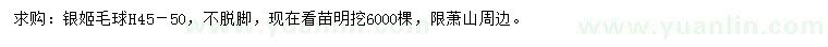 求購高45-50公分銀姬球