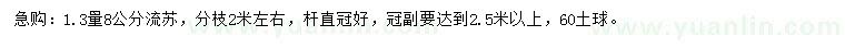 求購1.3米量8公分流蘇