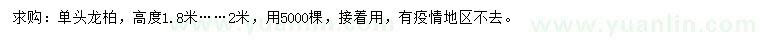 求購(gòu)高1.8-2米龍柏