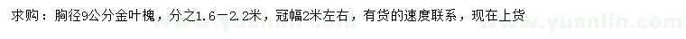 求購胸徑9公分金葉槐