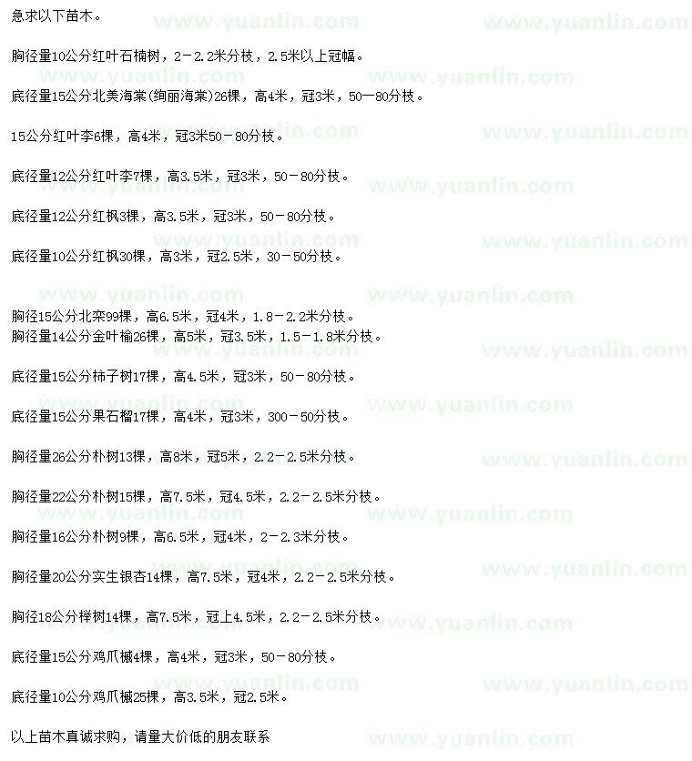 求購(gòu)紅葉石楠、北美海棠、紅葉李等
