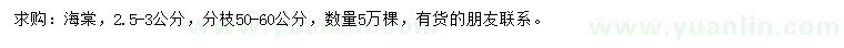 求購2.5-3公分海棠
