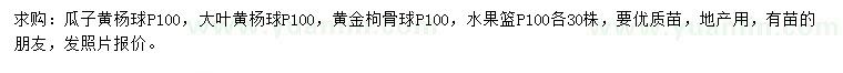 求購瓜子黃楊球、大葉黃楊球、黃金枸骨球等