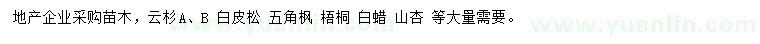 求購云杉、白皮松、五角楓等