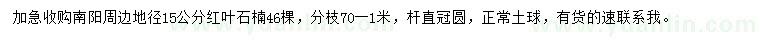求購(gòu)地徑15公分紅葉石楠