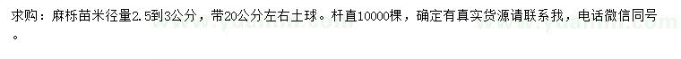 求購米徑2.5-3公分麻櫟