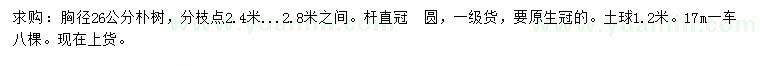 求購(gòu)胸徑26公分樸樹