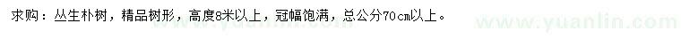 求購高8米以上叢生樸樹