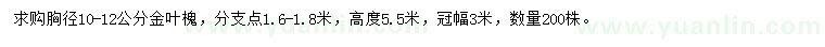 求購(gòu)胸徑10-12公分金葉槐