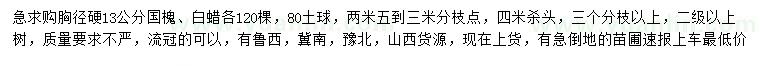 求購(gòu)胸徑13公分國(guó)槐、白蠟